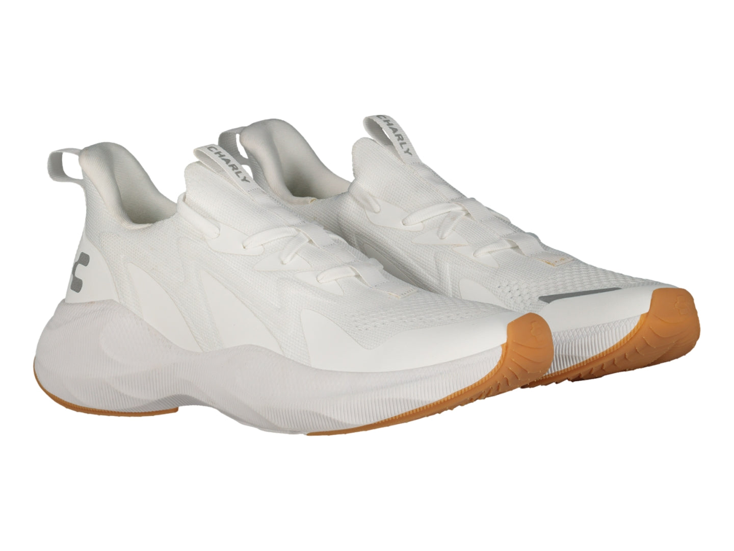 Tenis Charly 87332 Para Hombre