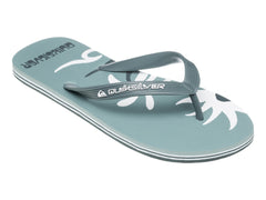 Sandalias Quiksilver Molokai Screen Color Sage para Hombre