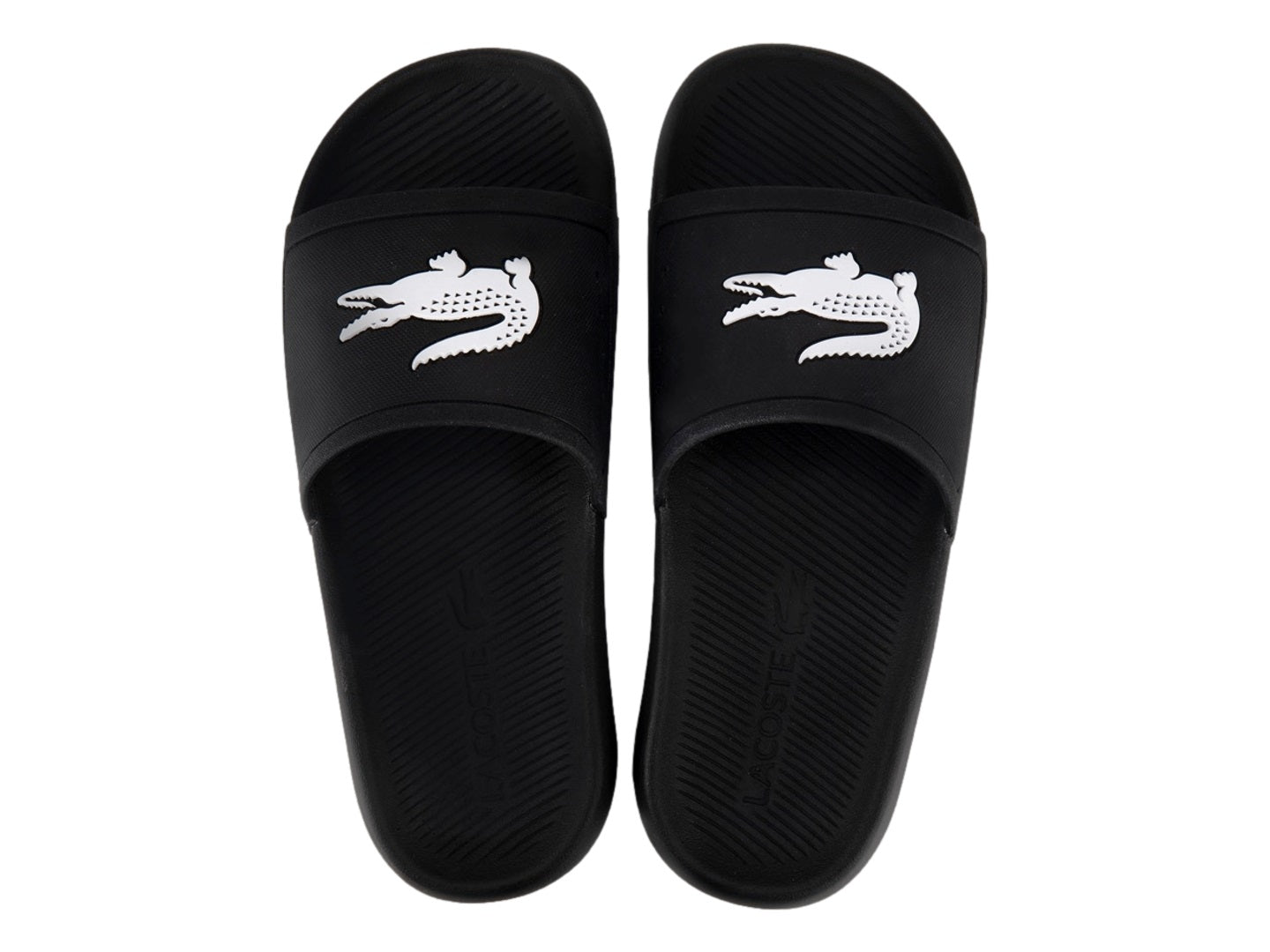 Zapatos Lacoste Ma0018 Para Mujer