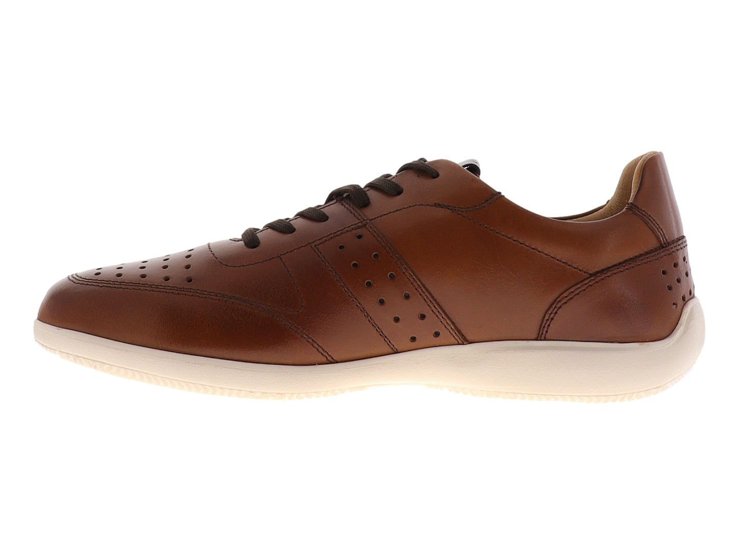 Zapatos Gino Cherruti 9004 Para Hombre