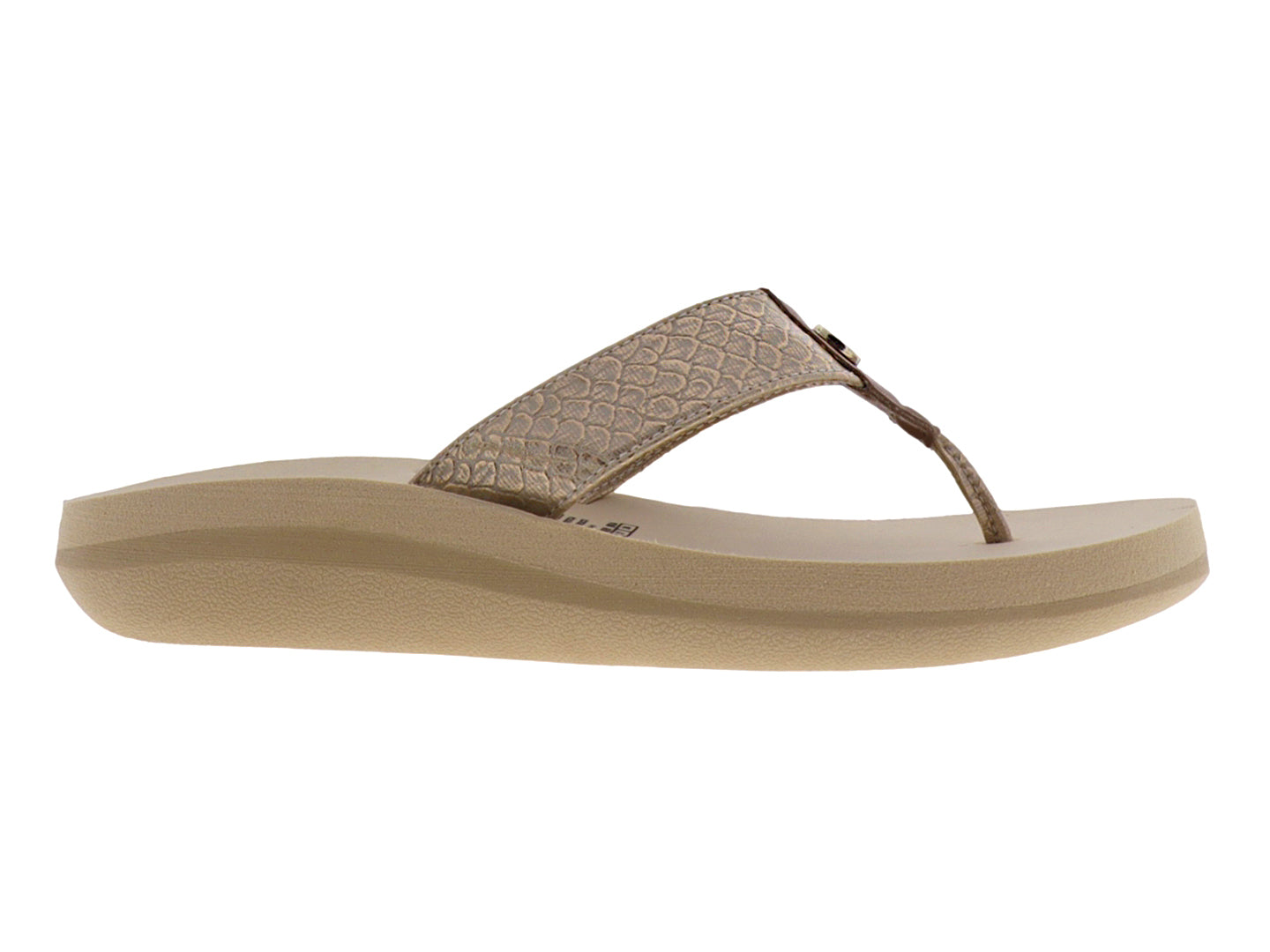Sandalias Mosquitos 1541 Para Mujer