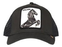 Gorras De Béisbol Goorin Bros The Stallion 0393