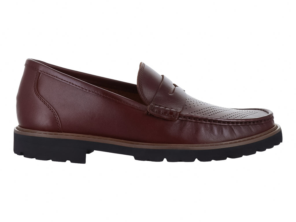 Zapatos Gino Cherruti 5103 Para Hombre