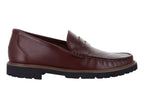 Zapatos Gino Cherruti 5103 Para Hombre