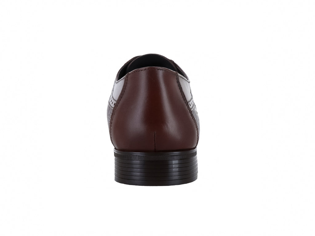 Zapatos Gino Cherruti 501 Para Hombre