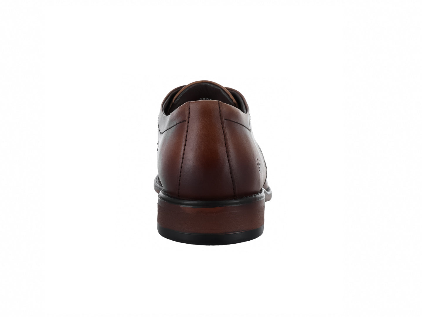 Zapatos Oxford IN MODA Café para Hombre