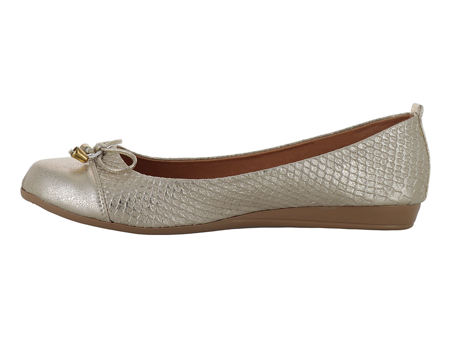 Zapatos Melissa Garcia 312 Para Mujer