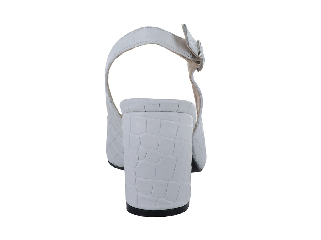 Zapatillas Antonie 4103 Para Mujer