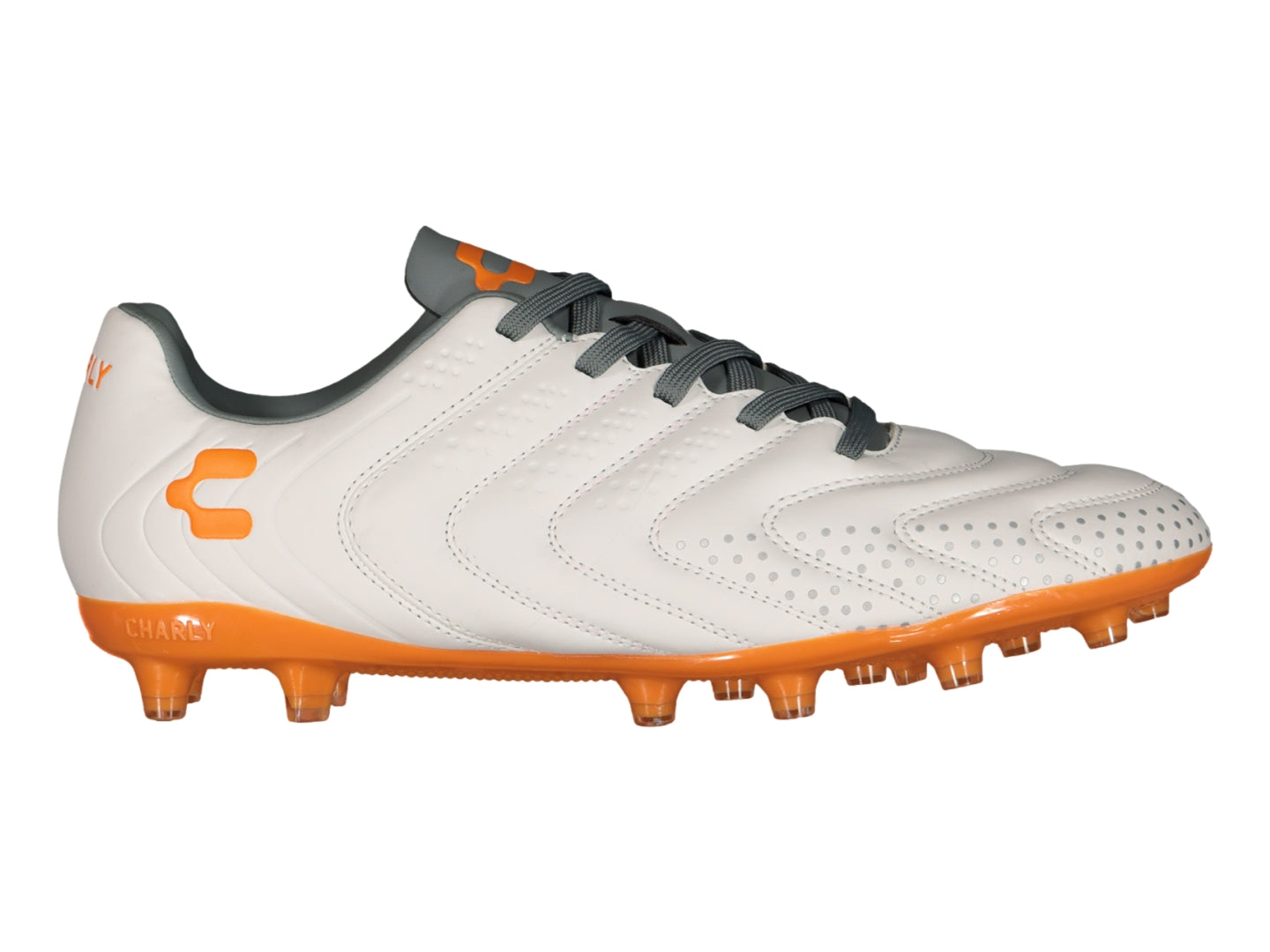Tenis Charly 86369 Para Hombre