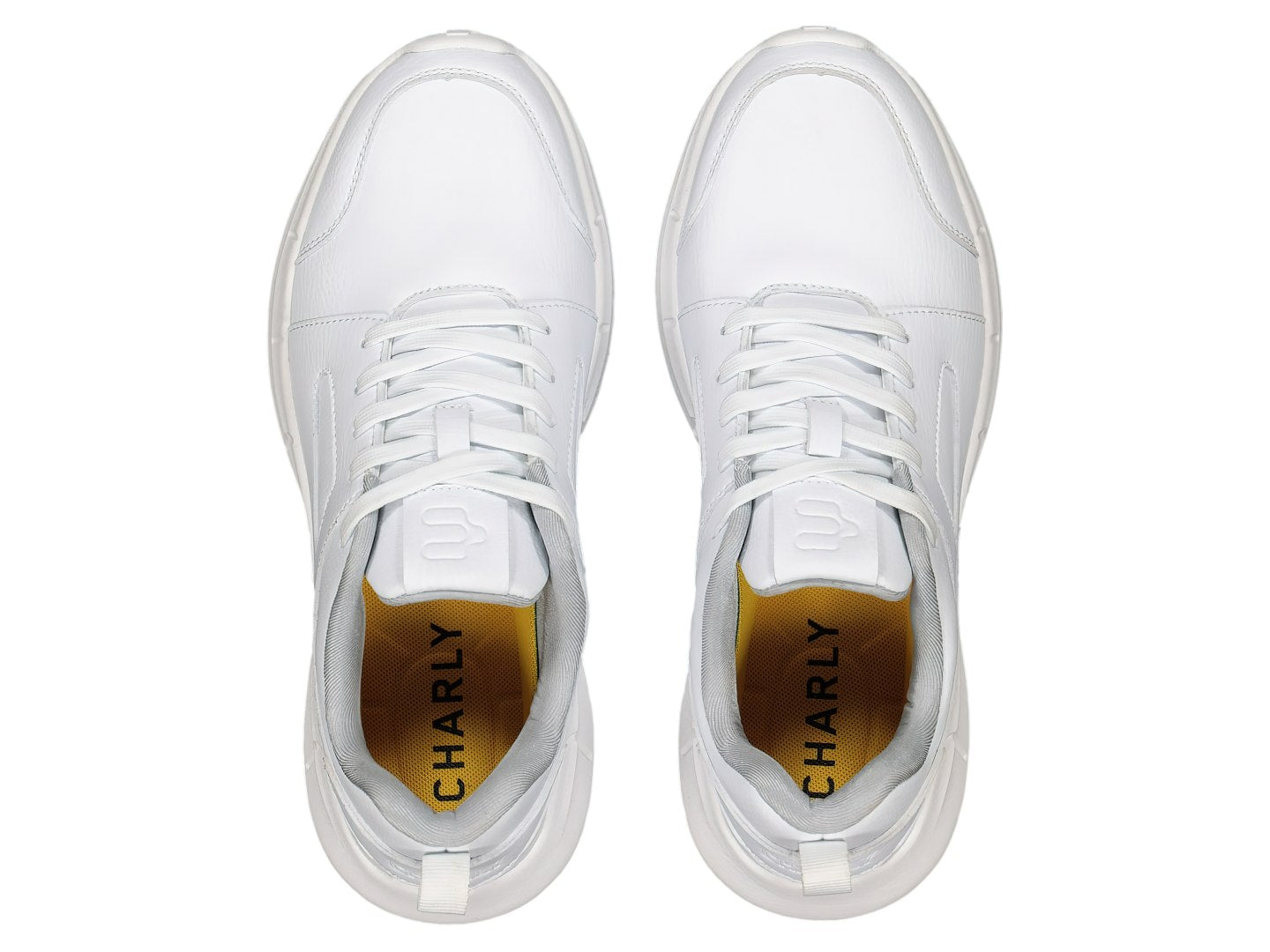 Tenis Charly 86218 Para Hombre