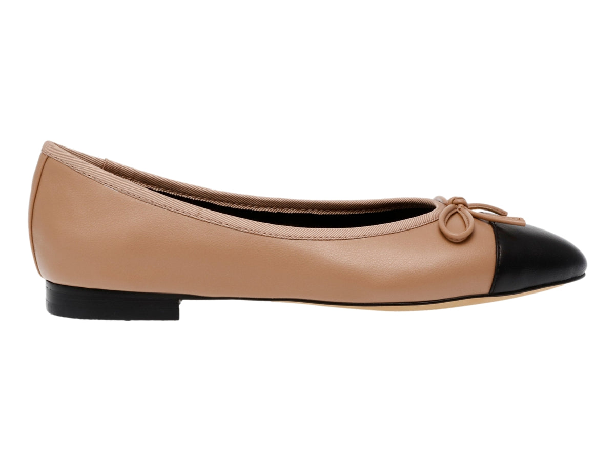 Zapatos Steve Madden Elliso Para Mujer