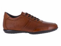 Zapatos Gino Cherruti Zapato Cafe Caballero 4103 Para Hombre