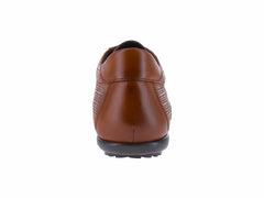 Zapatos Gino Cherruti Color Canela para Hombre
