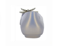 Zapatos Melissa 35716 Para Mujer