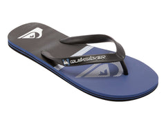 Sandalias Quiksilver Molokai Sion Gris para Hombre