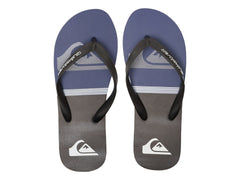 Sandalias Quiksilver Molokai Sion Gris para Hombre