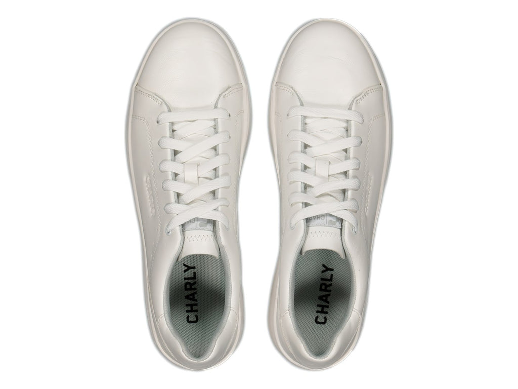 Tenis Charly 10 87042 002 87042 Para Hombre