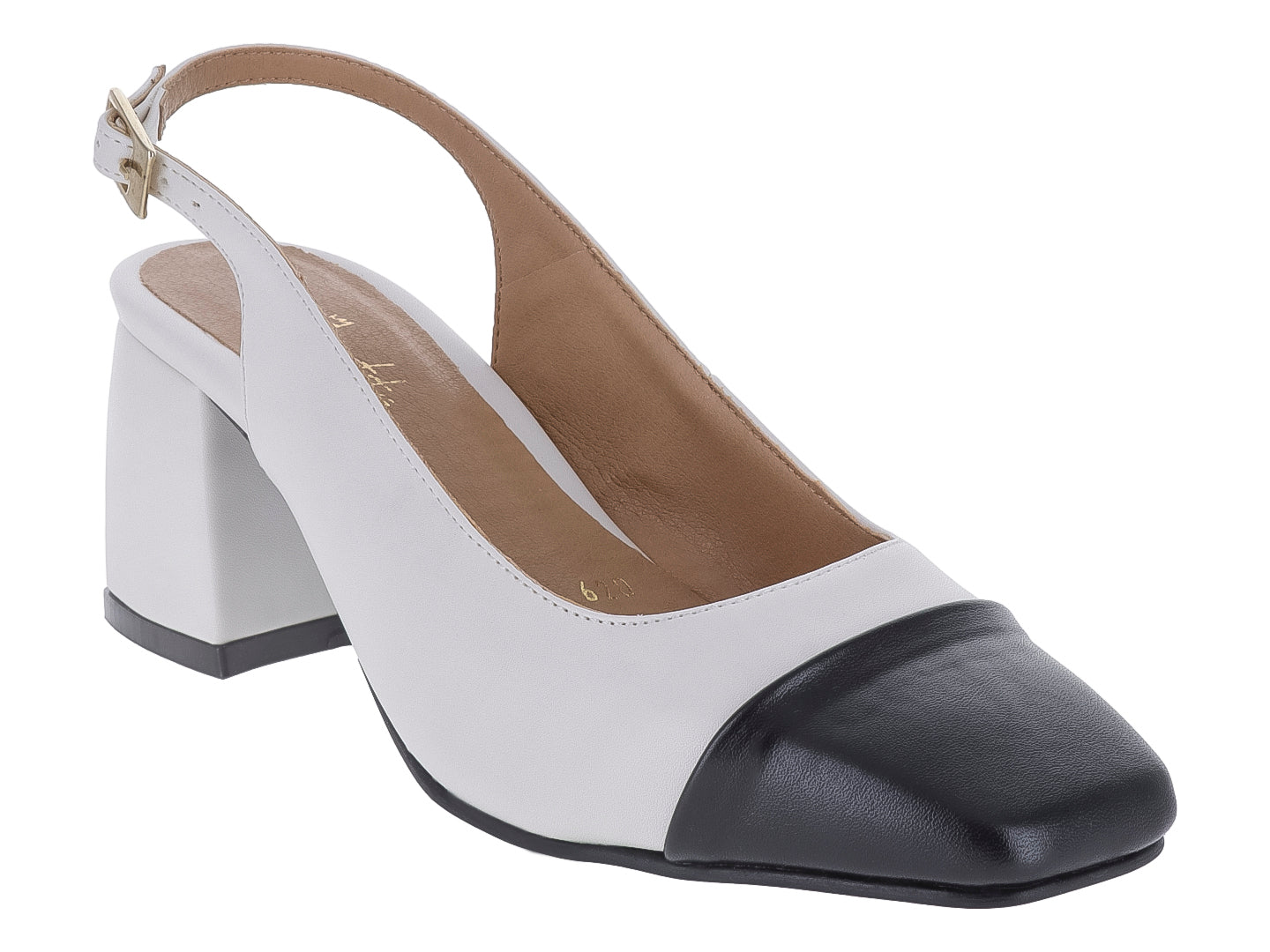 Zapatos Clinton 620 Para Mujer