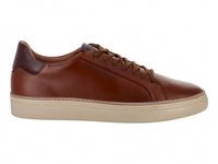 Tenis Gino Cherruti 2800 Para Hombre