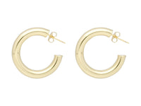 Pendientes Roze 181123