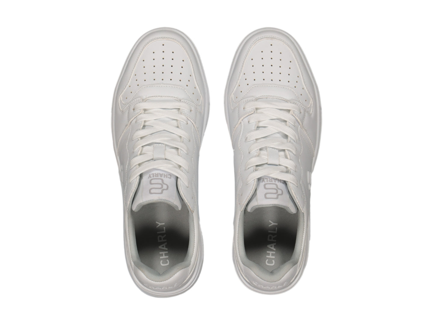 Tenis Charly 87056 Para Hombre