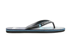 Sandalias Quiksilver Molokai Art Ii 101360 Para Hombre