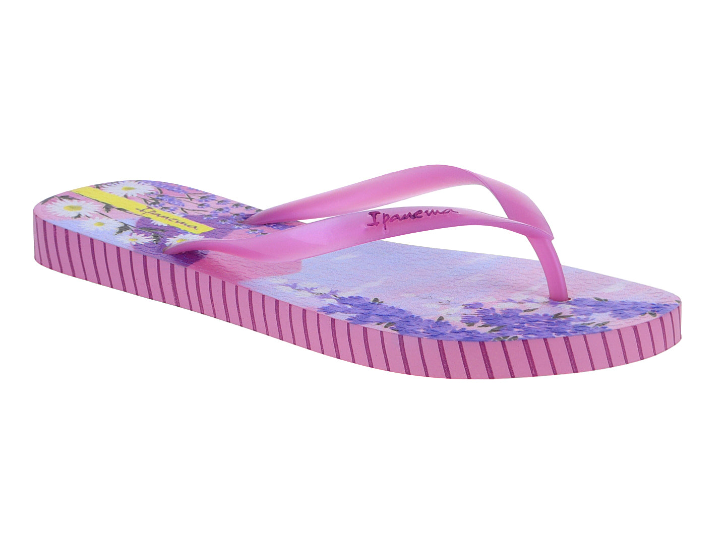 Sandalias Ipanema 25483 Para Mujer