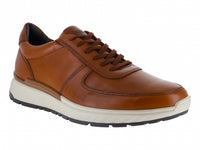 Zapatos Gino Cherruti Zapato Miel Caballero 3701 Para Hombre