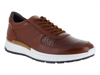 Zapatos Gino Cherruti Zapato Cafe Caballero 3700 Para Hombre