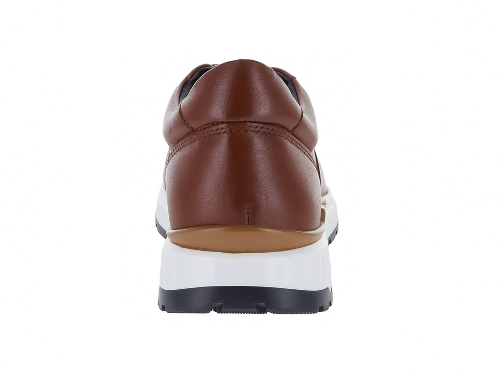 Zapatos Gino Cherruti Zapato Cafe Caballero 3700 Para Hombre