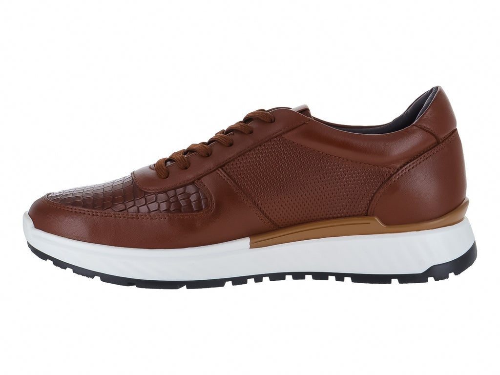 Zapatos Gino Cherruti Zapato Cafe Caballero 3700 Para Hombre