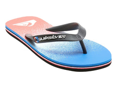 Sandalias Quiksilver Molokai Art II Multicolor para Hombre