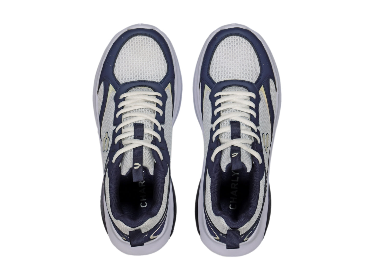 Tenis Charly 87277 Para Hombre