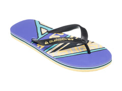 Sandalias Quiksilver Molokai Screen Morado para Hombre