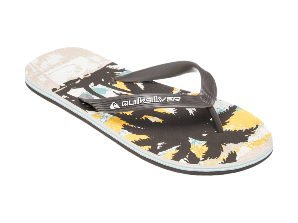 Sandalias Quiksilver Molokai Art Para Hombre