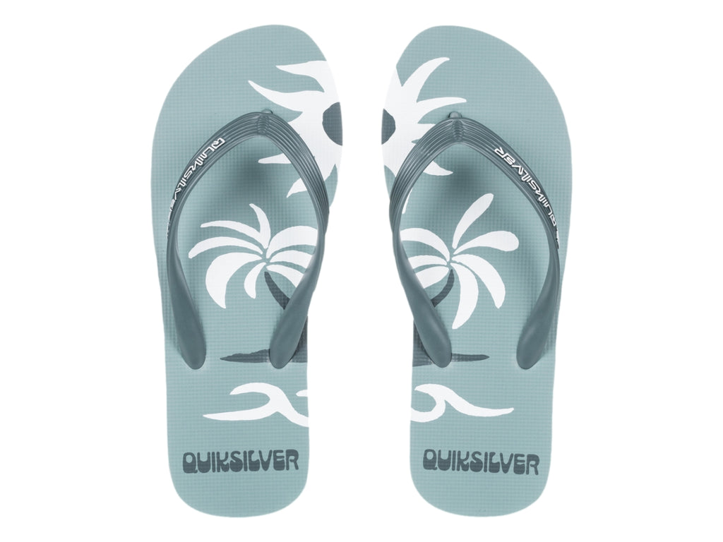 Sandalias Quiksilver 101427 Para Hombre