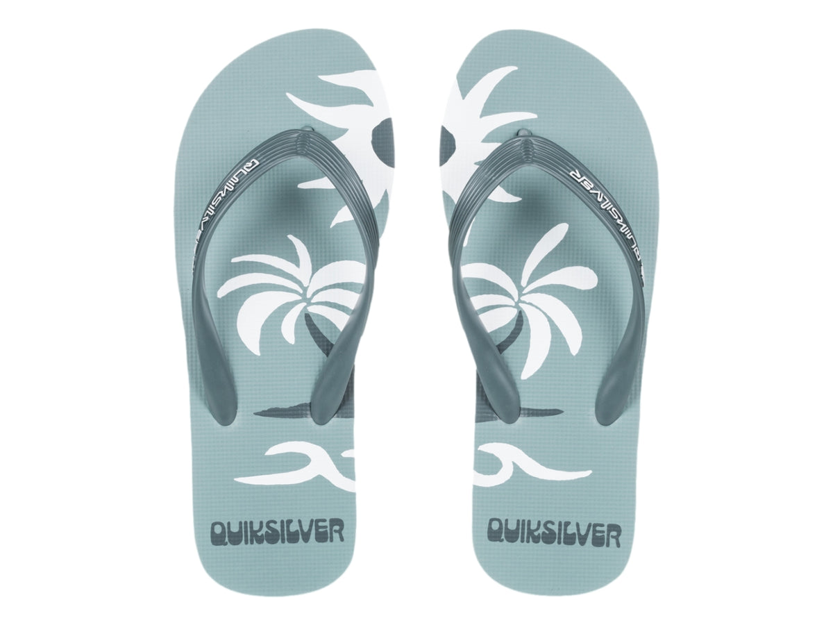 Sandalias Quiksilver Molokai Screen Color Sage para Hombre