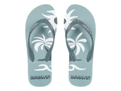 Sandalias Quiksilver Molokai Screen Color Sage para Hombre
