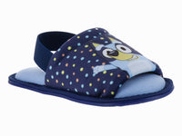 Pantuflas ARRA Azul para Niño