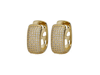 Pendientes Roze Arracada Bo3128