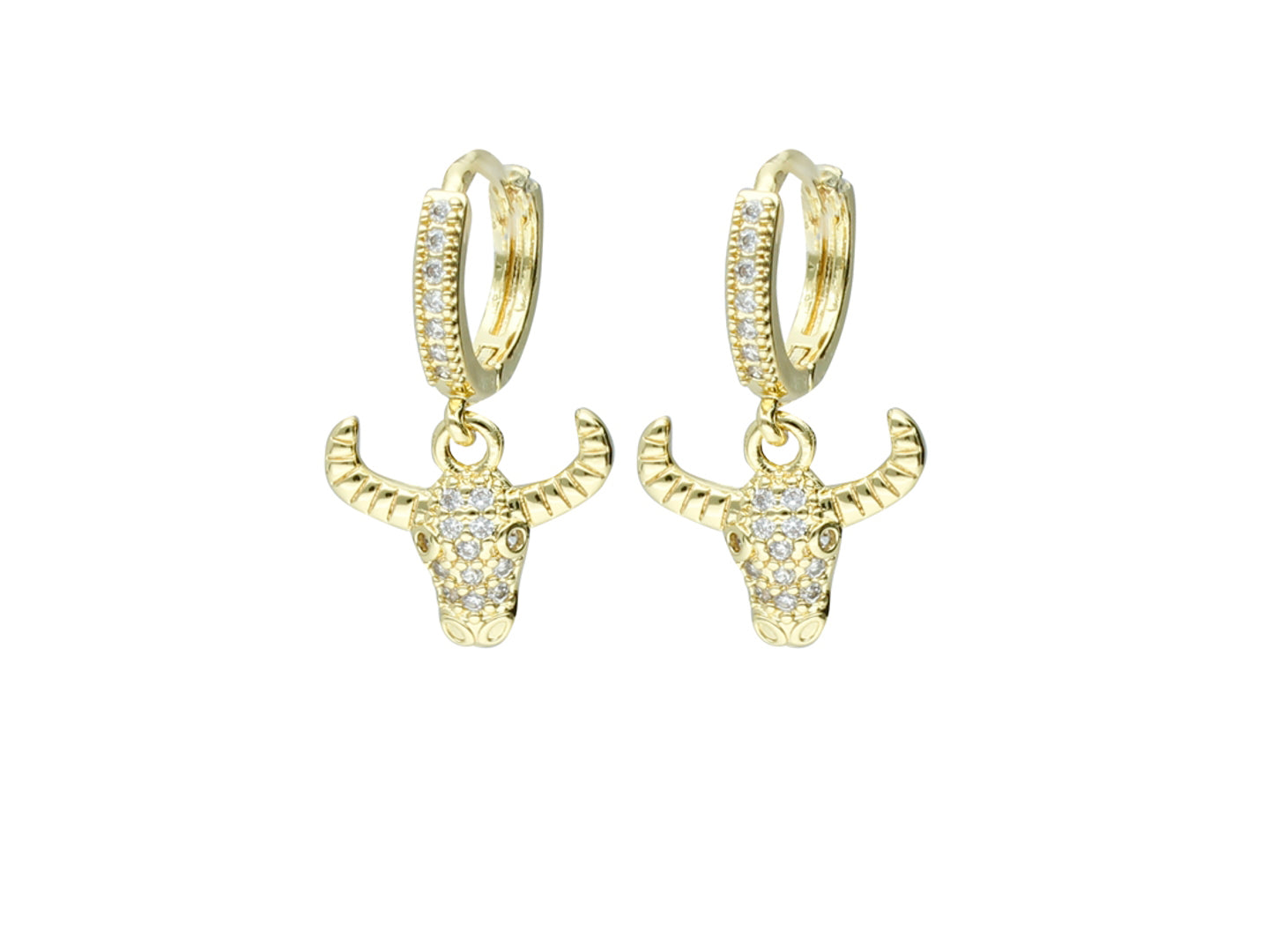 Pendientes Roze Aretes Bo3154
