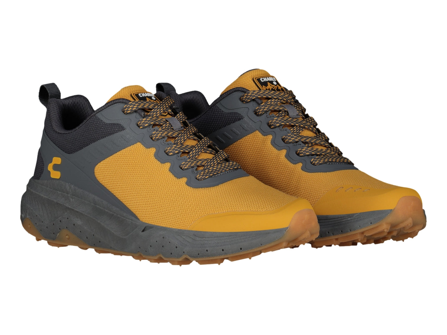 Tenis Charly 87460 Para Hombre