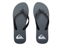 Sandalias Quiksilver Molokai Core Gris para Hombre