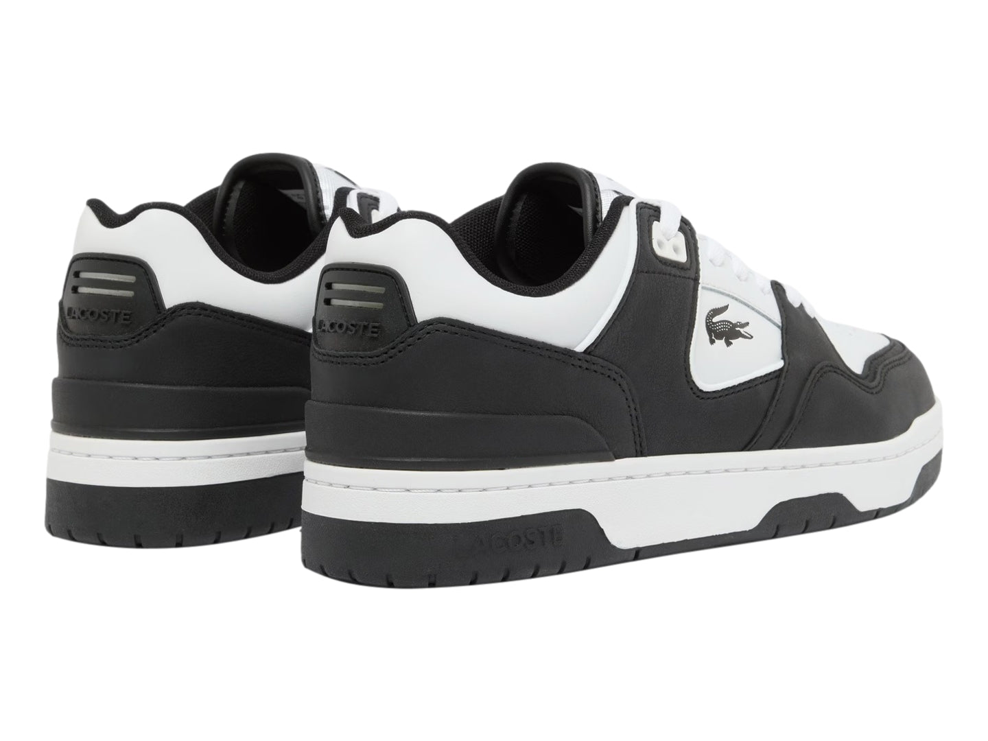 Tenis Lacoste Court Cage Negro con Blanco para Hombre