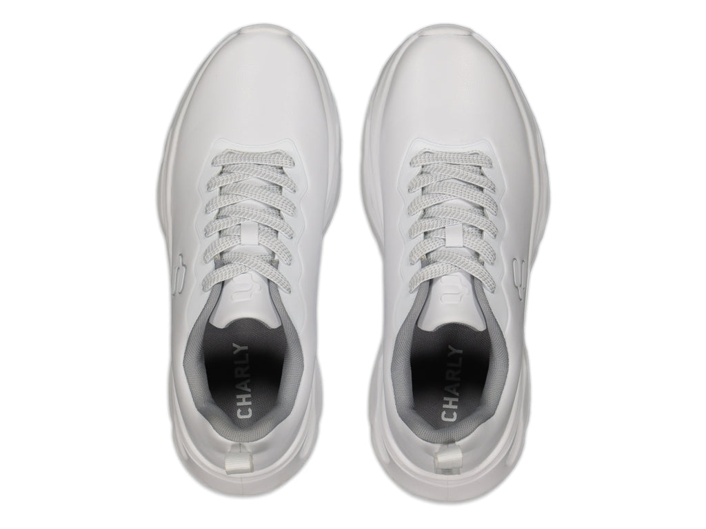 Tenis Charly 87720 Para Hombre