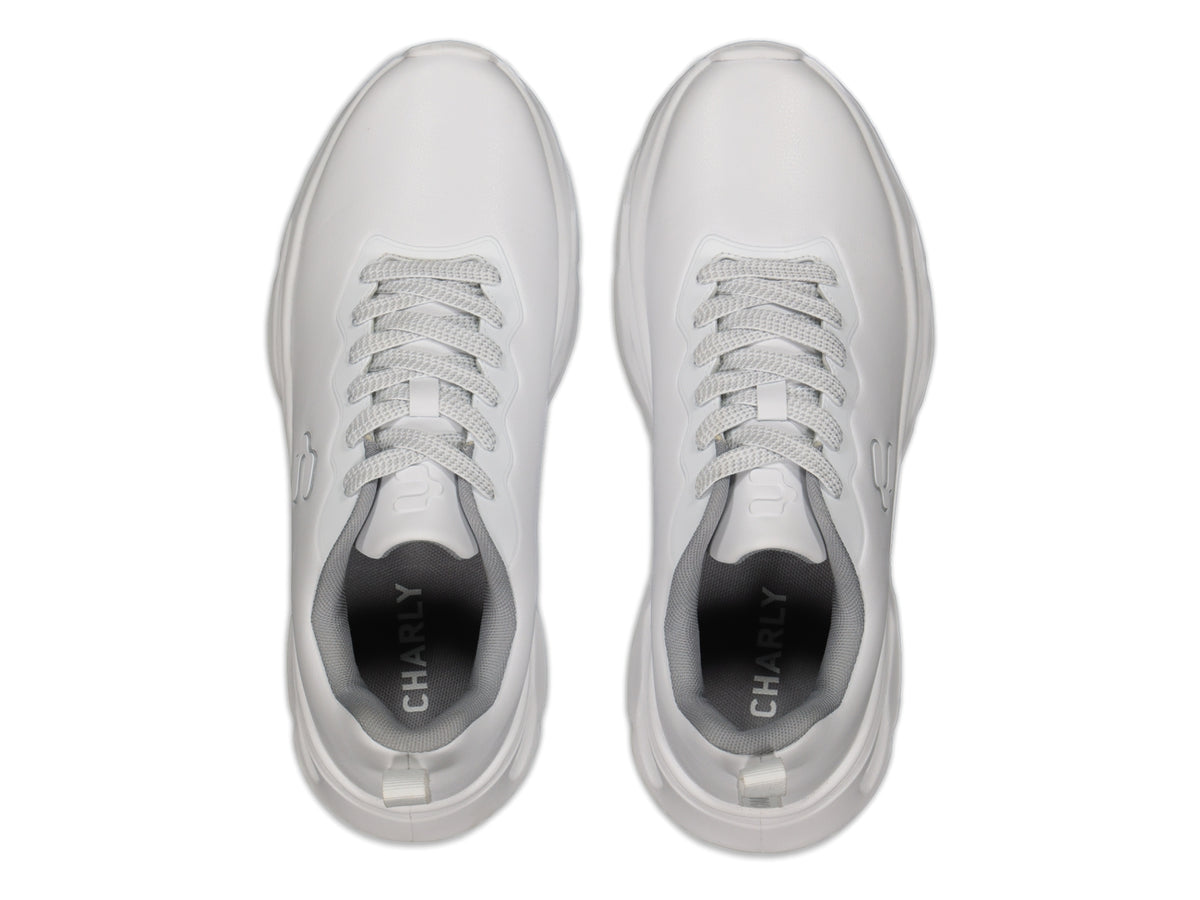 Tenis Charly 87720 Para Hombre